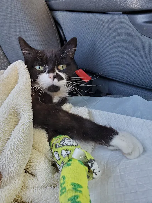 Anchor Bay Veterinary Center Picture 7