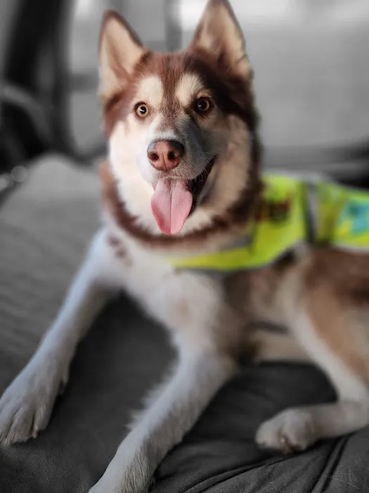 Banfield Pet Hospital Picture 7