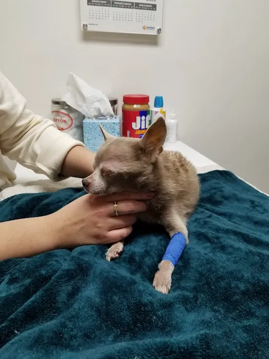 Banfield Pet Hospital Picture 1