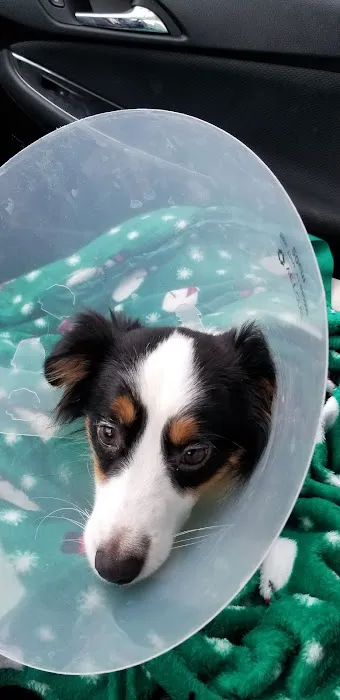 Banfield Pet Hospital Picture 2
