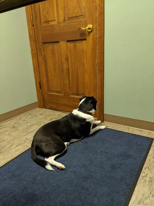 VetSelect Animal Hospital of Commerce Township Picture 3