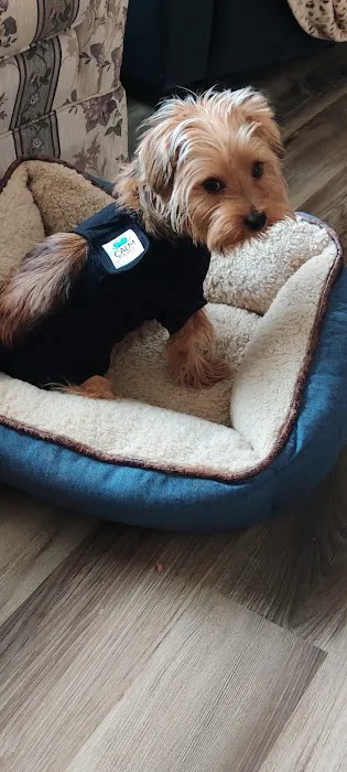 4 Paws Urgent Care Picture 2