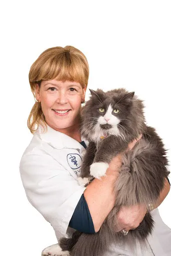 Commerce Village Veterinary Hospital Picture 2