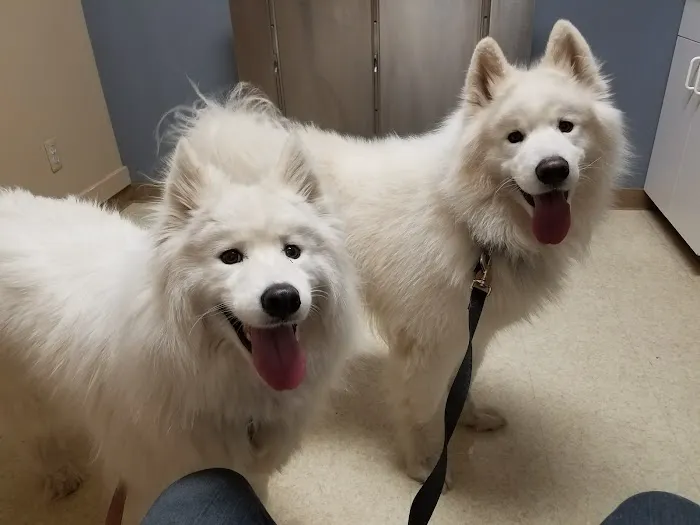 Wixom Family Pet Practice Picture 7