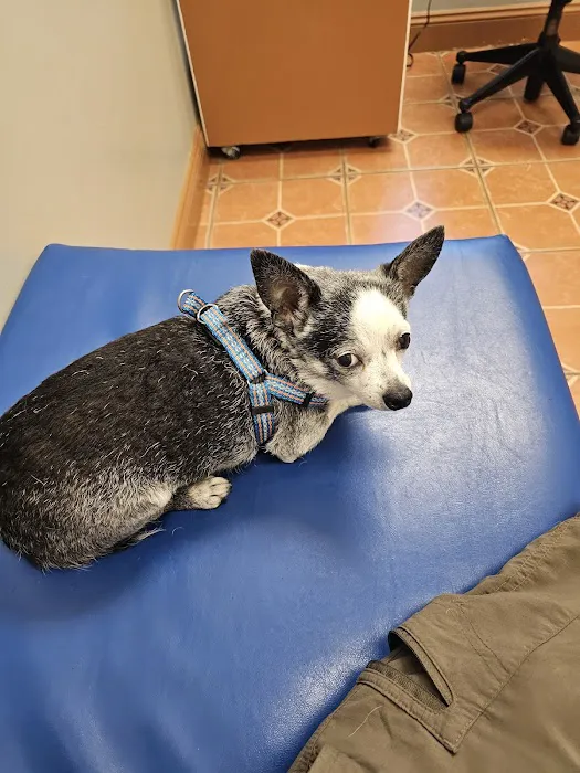 Great Lakes Veterinary Clinic Picture 8