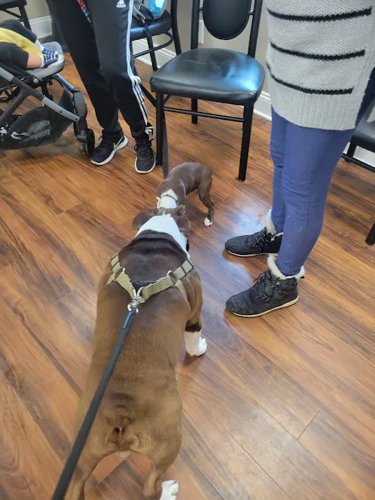 Great Lakes Veterinary Clinic Picture 6