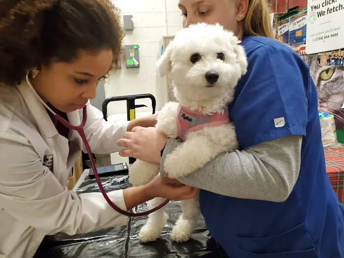 VIP Petcare Picture 1