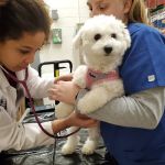 VIP Petcare