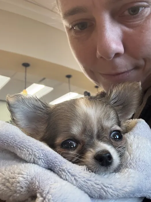 BluePearl Pet Hospital Picture 8