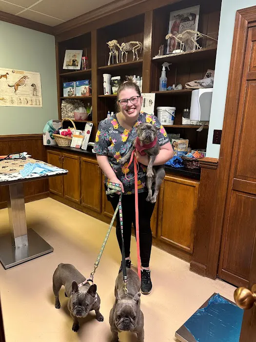 South Franklin Animal Hospital Picture 9