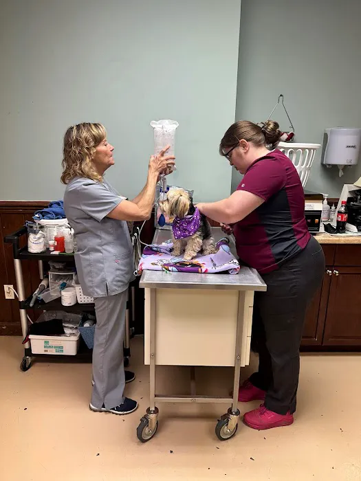 South Franklin Animal Hospital Picture 7