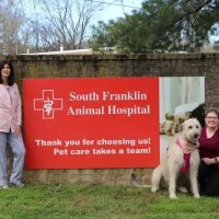 South Franklin Animal Hospital ico
