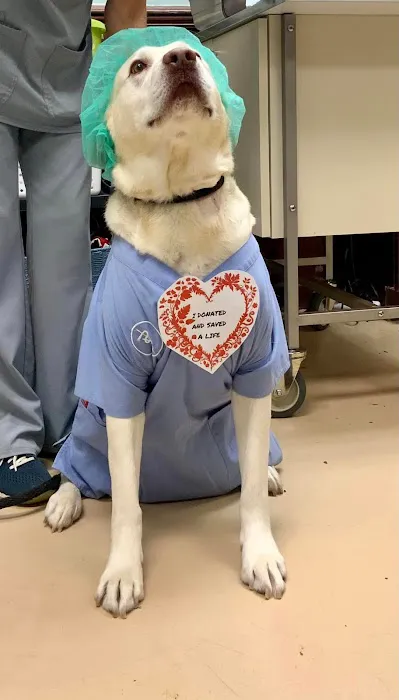 South Franklin Animal Hospital Picture 2