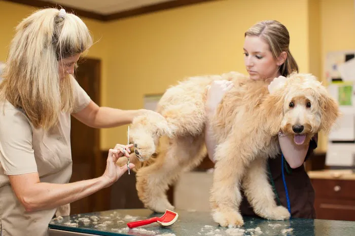 South Franklin Animal Hospital Picture 4