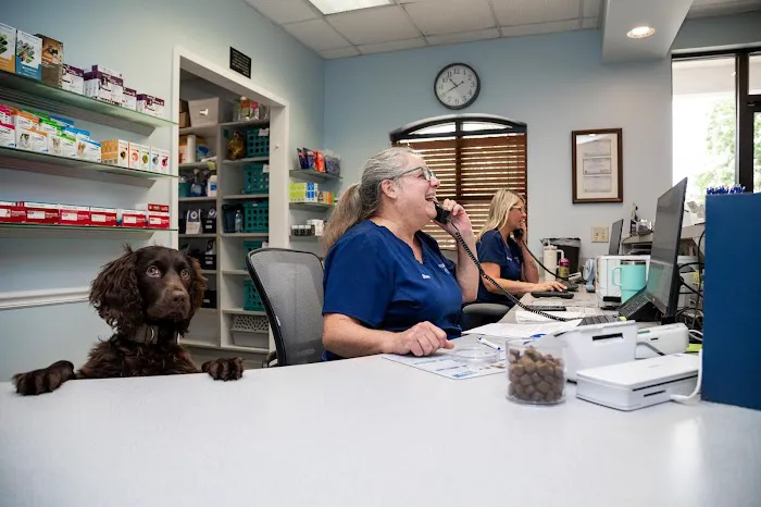 Battleground Hospital for Animals Picture 4