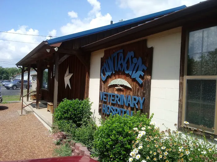 Countryside Veterinary Care Picture 4