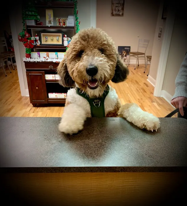 Haley Veterinary Practice, LLC Picture 10