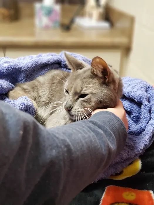 Animal Medical Center Picture 5