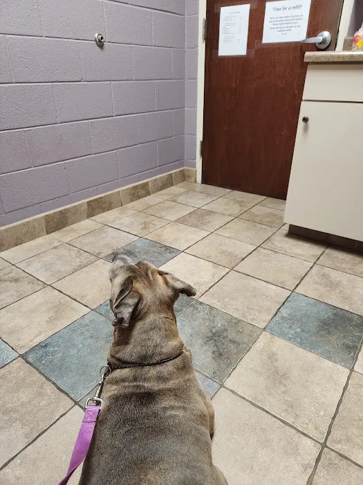Animal Medical Center Picture 9