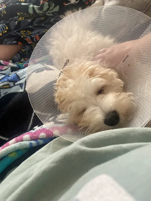 Animal Medical Center Picture 7