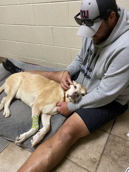 Animal Medical Center Picture 4