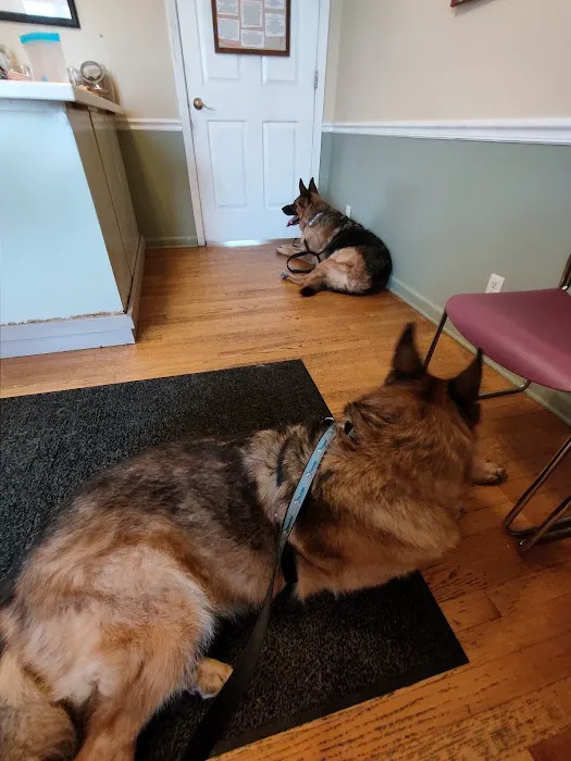 McPherson Veterinary Services Picture 8