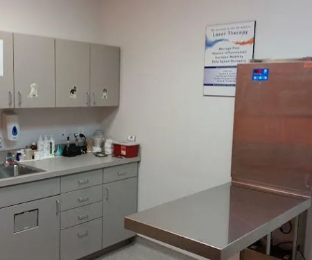 Murfreesboro Animal Clinic