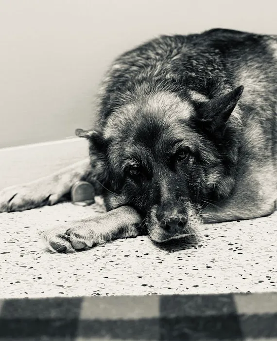 Aberlea Veterinary Life Planning, LLC Picture 9
