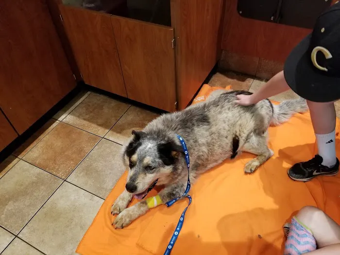 Banfield Pet Hospital Picture 7