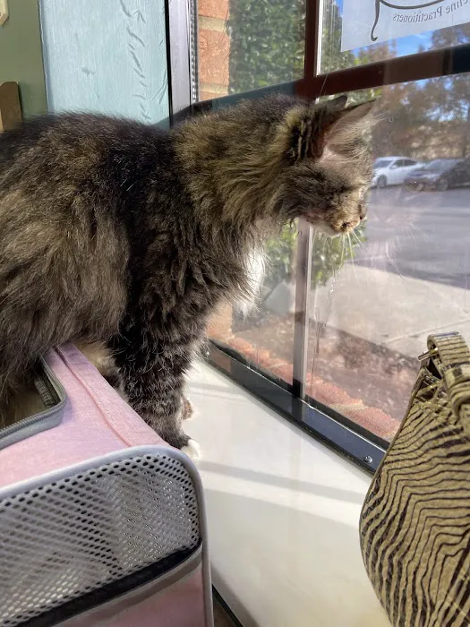 Animal Care Veterinary Hospital Picture 2