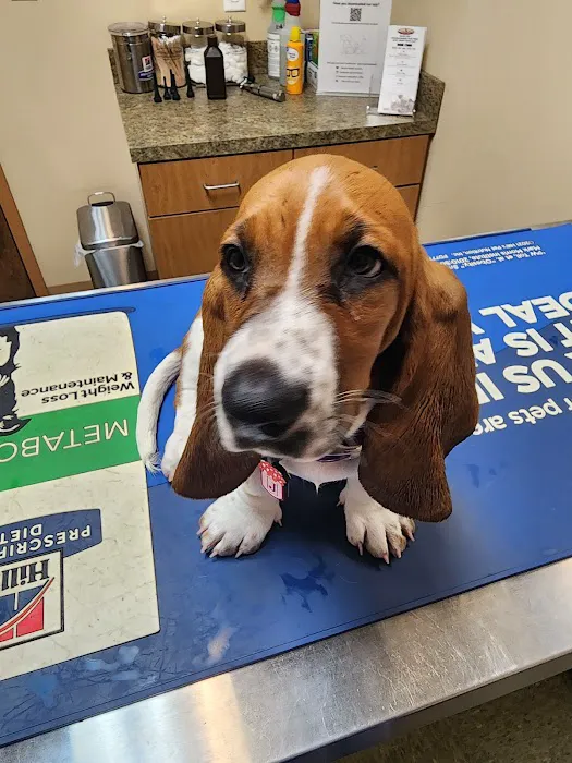 Savannah's Crossing Veterinary Hospital Picture 7
