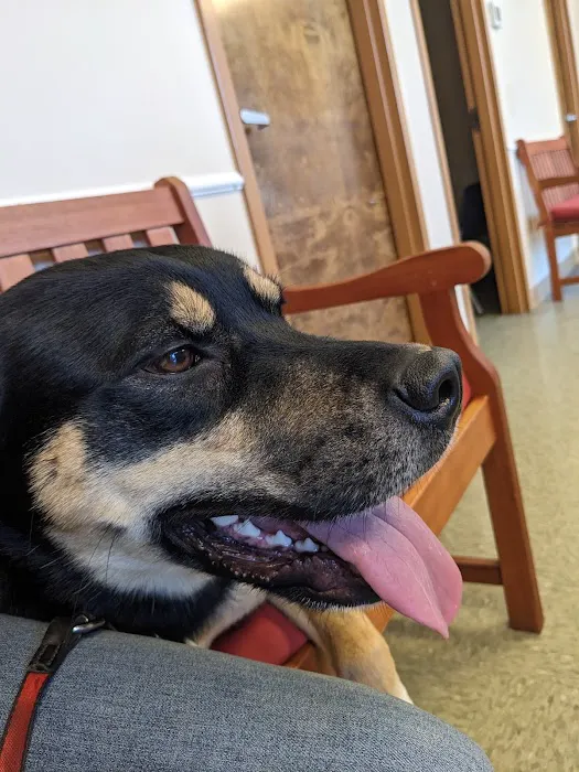 Savannah's Crossing Veterinary Hospital Picture 2