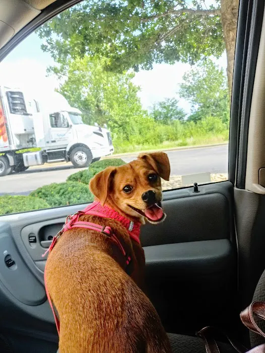 Savannah's Crossing Veterinary Hospital Picture 4