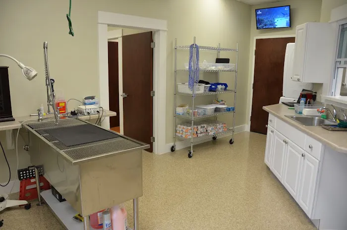 Goose Creek Pet Hospital Picture 6