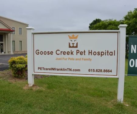 Goose Creek Pet Hospital