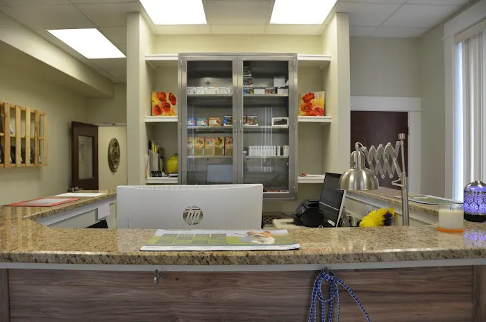 Goose Creek Pet Hospital Picture 3