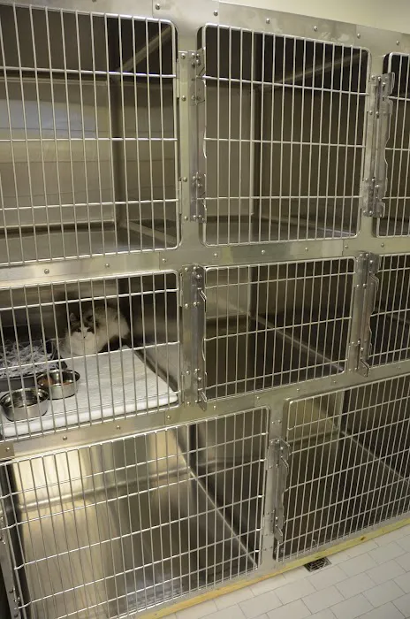 Goose Creek Pet Hospital Picture 4