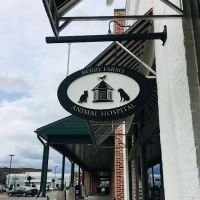 Berry Farms Animal Hospital & Pet Spa ico