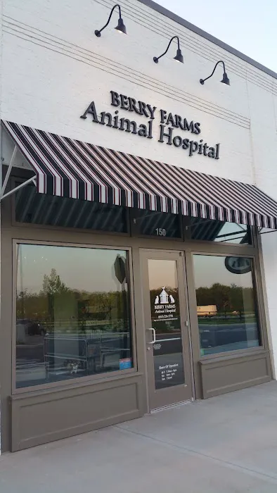 Berry Farms Animal Hospital & Pet Spa Picture 4