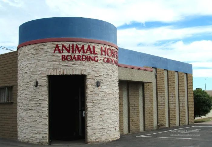 Christown Animal Hospital Picture 7