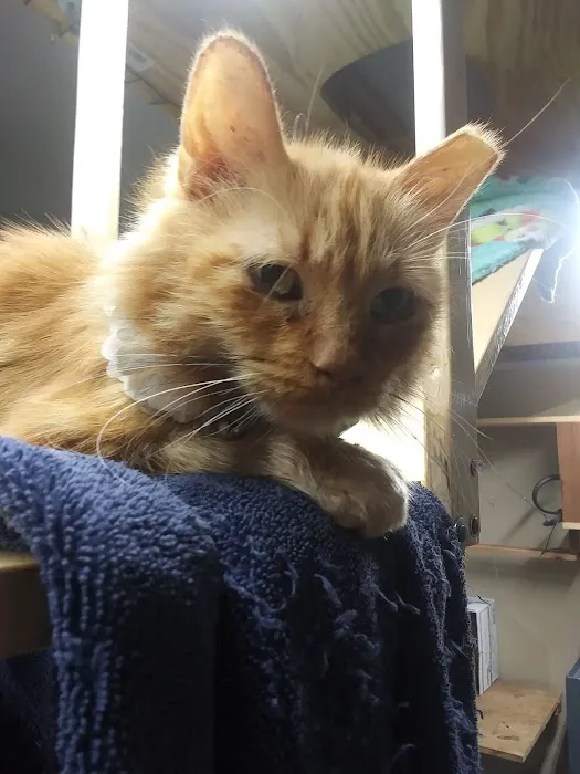Van Aken Pet Hospital Picture 6
