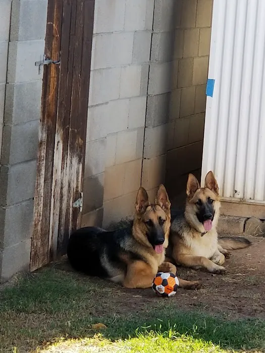 Van Aken Pet Hospital Picture 8