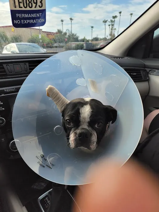 Banfield Pet Hospital Picture 3