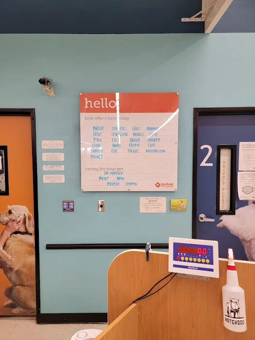 Banfield Pet Hospital Picture 4