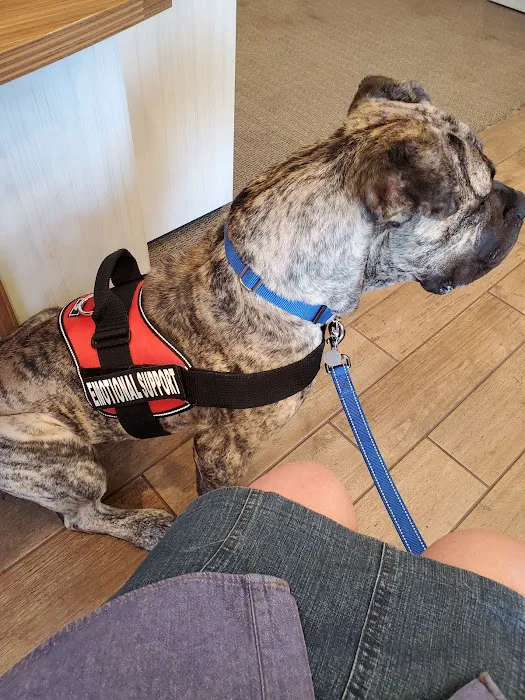 Banfield Pet Hospital Picture 6