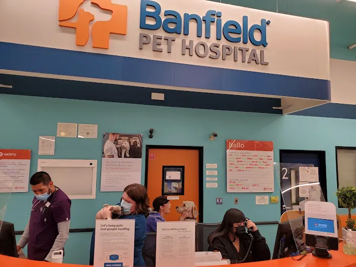 Banfield Pet Hospital Picture 2