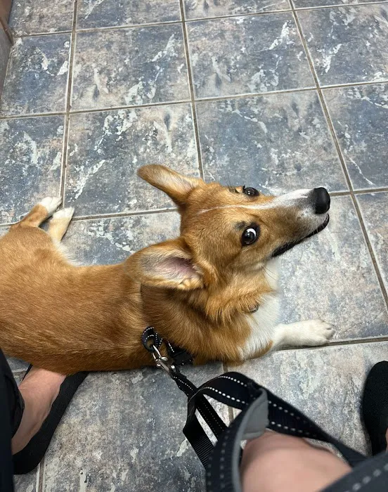 Harmony Veterinary Hospital Picture 6