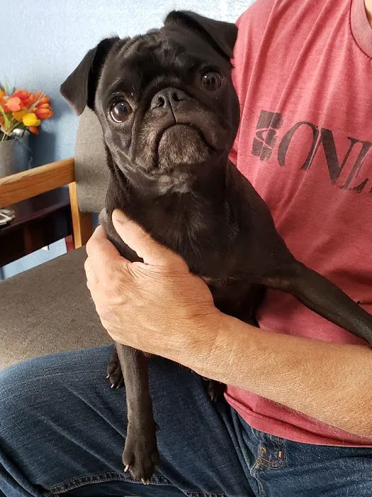 Harmony Veterinary Hospital Picture 10