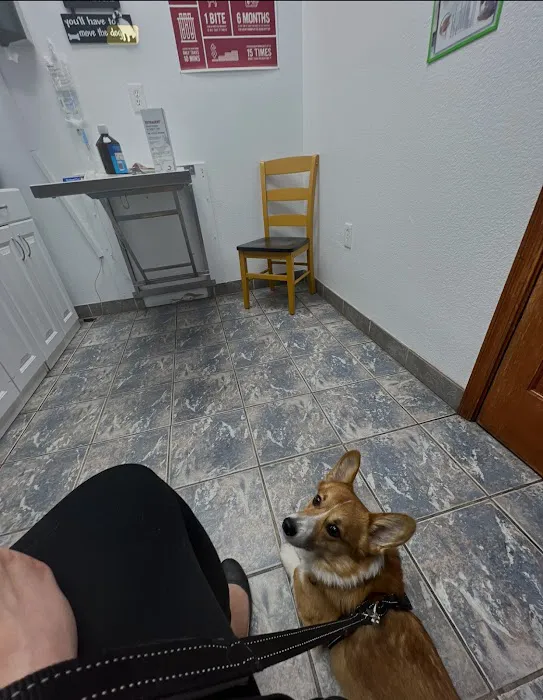 Harmony Veterinary Hospital Picture 9