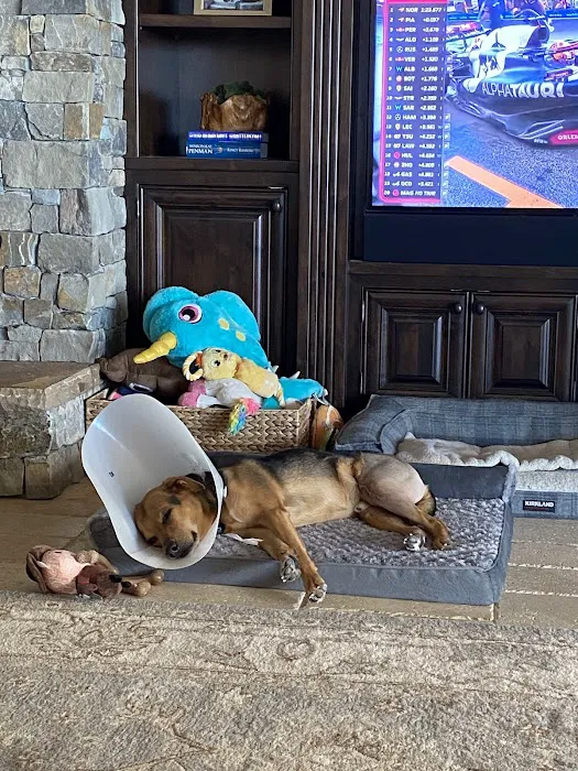 Harmony Veterinary Hospital Picture 7